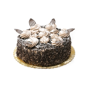 Chocolate Explosion